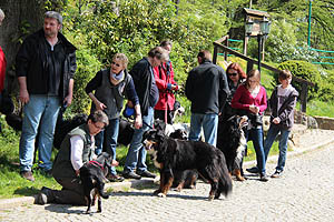 IMG_0450.jpg (67498 Byte)