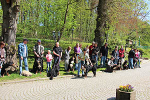 IMG_0452.jpg (67632 Byte)