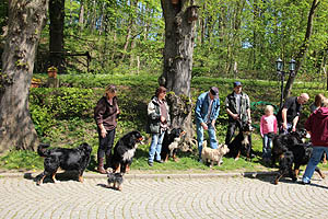 IMG_0453.jpg (66800 Byte)