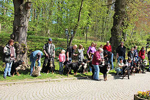 IMG_0454.jpg (68322 Byte)