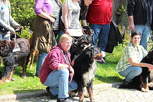 IMG_0457.jpg (65969 Byte)