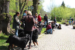 IMG_0461.jpg (60114 Byte)