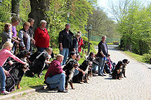 IMG_0462.jpg (66222 Byte)