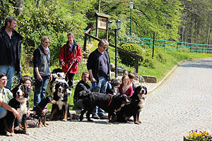 IMG_0464.jpg (66465 Byte)